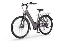 Rower elektryczny EcoBike X-city Coffee - Ubezpieczony - 5