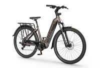 Rower elektryczny Ecobike LX 300 Onyx- ubezpieczony - 2