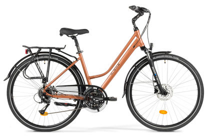 Rower M-Bike Freeway 9300 Disc lady