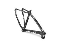 Rama MTB 29'' ACCENT Point - 6