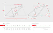 Rama MTB 29'' ACCENT Point - 12