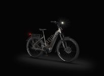 Rower elektryczny Ecobike Dare v.2 - na pasku Gates + ubezpieczenie - 12