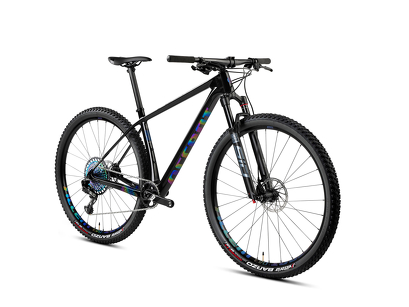 Rower MTB 29'' Accent Peak Carbon Boost X01 Eagle