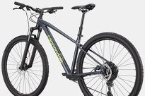 Rower MTB 29'' Cannondale TRAIL 1 - 11
