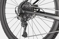 Rower MTB 29'' Cannondale TRAIL 1 - 7