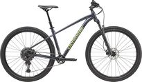 Rower MTB 29'' Cannondale TRAIL 1 - 9