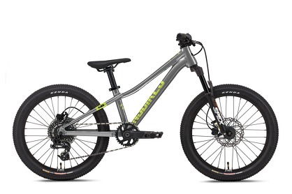 Rower młodzieżowy NS Bikes Eccentric 20" Szary