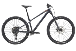 Rower Cannondale Habit HT 1 29'' (C26075U20/TUB)