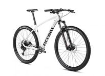 Rower MTB 29