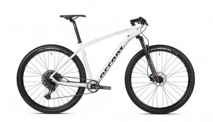Rower MTB 29" Accent Point SX Eagle + ebon 150