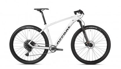 Rower MTB 29" Accent Point SX Eagle