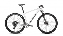 Rower MTB 29" Accent Point SX Eagle