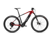 Rower elektryczny MTB 29