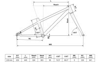 Rower juniorski Kellys Naga Air Belt Yellow 20