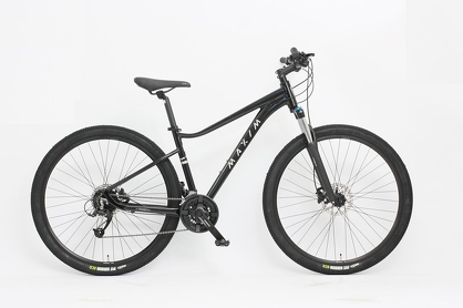 Rower MTB 29"  Maxim MS 3.6