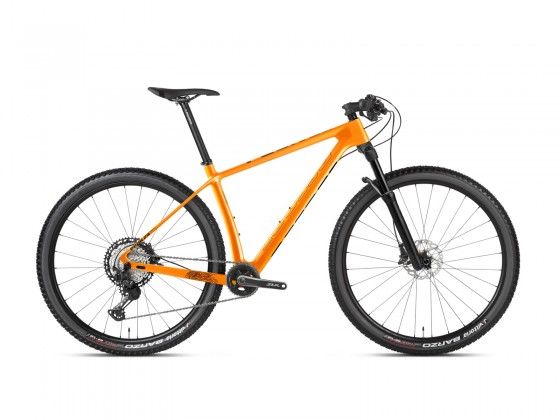 Rower MTB 29