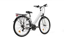 Rower trekkingowy Wheeler City 1 - 2