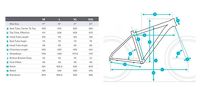 Rower MTB 29'' FUJI Nevada 1.9 - 4