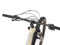 Rower MTB 29