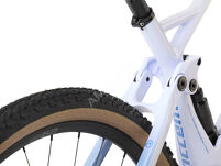 Rower MTB 29