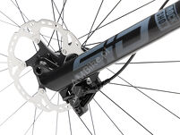 Rower MTB 29