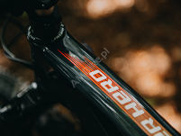 Rower MTB 29