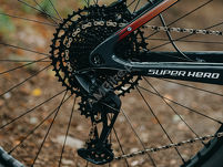 Rower MTB 29
