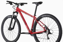 Rower MTB 29 Cannondale TRAIL 7 - 3
