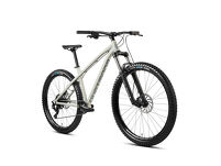 Rower Dartmoor Sparrow Intro Mullet 29/27.5'' + eBon - 2