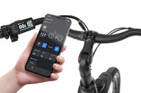Rower elektryczny EcoBike X-city czarny - Ubezpieczony - 10