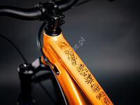 Rama Dartmoor   Rocbird Junior 26/24