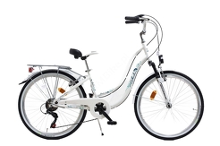 Rower młodzieżowy Wheeler Junior 24″