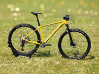 Rower MTB 29