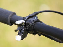 Rower MTB 29