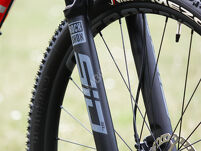 Rower MTB 29