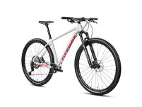 Rower MTB 29