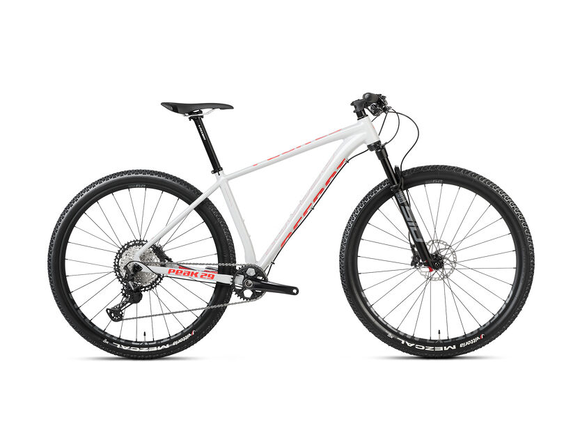 Rower MTB 29