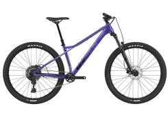 Rower MTB 29'' GT Zaskar LT COMP (G26303M20/PUR)