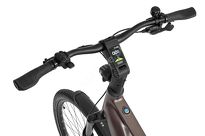 Rower elektryczny Ecobike MX 300 Golden Grey  - Ubezpieczony - 3