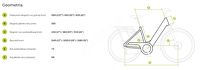 Rower elektryczny Ecobike LX 100 Automatic Green - Ubezpieczony - 3