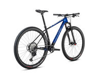 Rower MTB 29