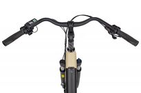 Rower elektryczny EcoBike X-city Cappuccino - Ubezpieczony - 7