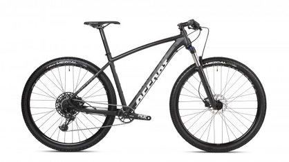 Rower MTB 29" Accent Point NX Eagle +ebon 150