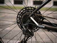 Rower MTB 29