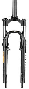 Amortyzator RST Capa T 20"