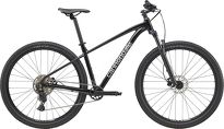 Rower MTB 29'' Cannondale TRAIL 2 - 2