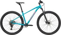 Rower MTB 29'' Cannondale TRAIL 2 - 16