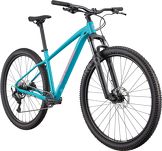 Rower MTB 29'' Cannondale TRAIL 2 - 17