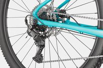 Rower MTB 29'' Cannondale TRAIL 2 - 21