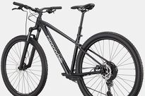 Rower MTB 29'' Cannondale TRAIL 2 - 4